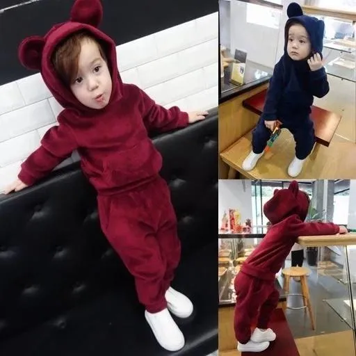 4 Colors Unisex Spring Indoor Bear Ear Style Velvet  2-Piece Clothes Outfits Hoodie and Pants