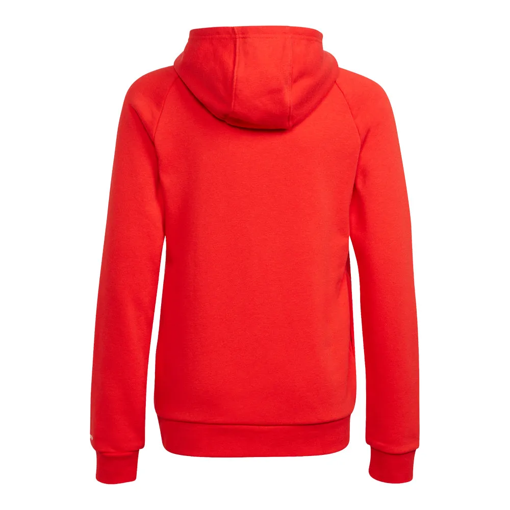 adidas Big Kids' Adicolor Hoodie