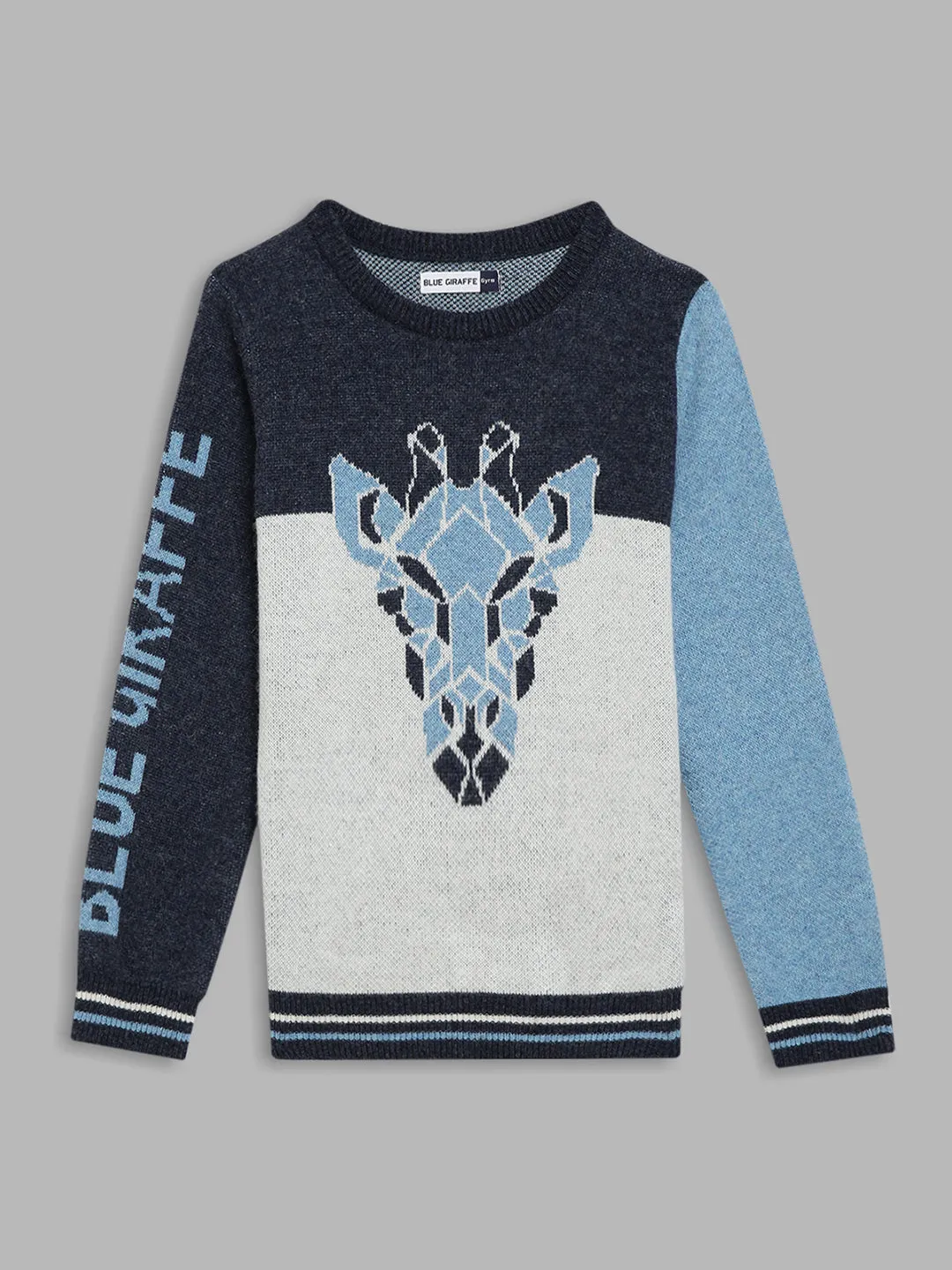 Blue Giraffe Boys Blue Colorblocked Round Neck Full Sleeves Pullover Style Sweater