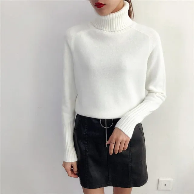 Cashmere Turtleneck Long Sleeve Pullover Knitwear