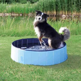 Swimming Pool For Dogs